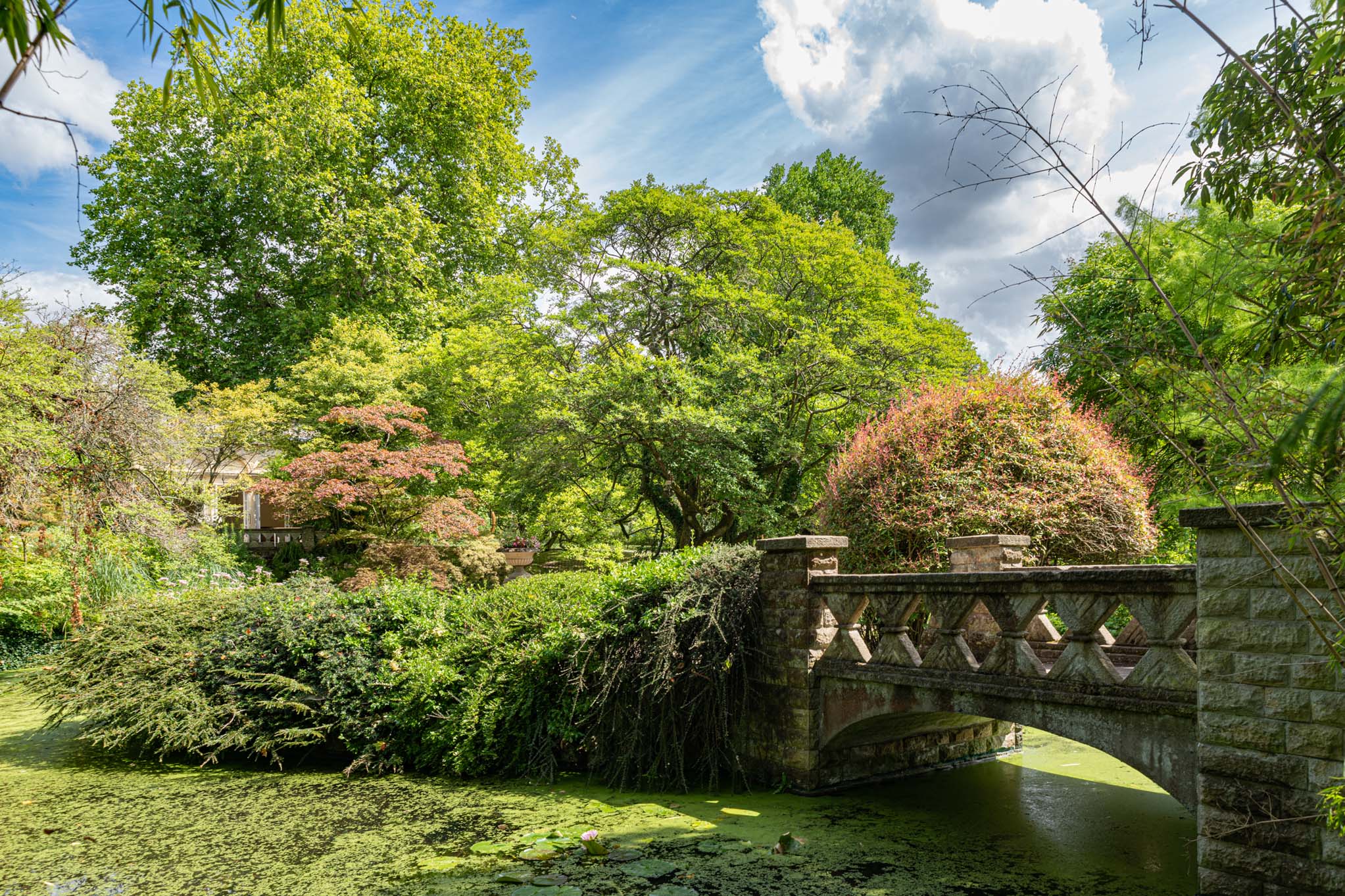 The bridge leading to the Temple in Summer